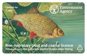 rod fishing licence|rod fishing licence uk.